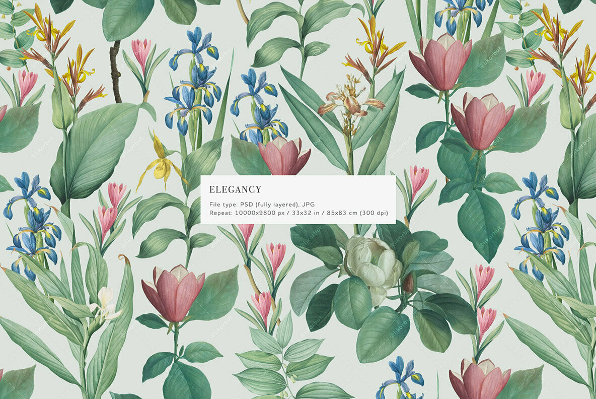 Elegancy   Floral Pattern and Elements 2