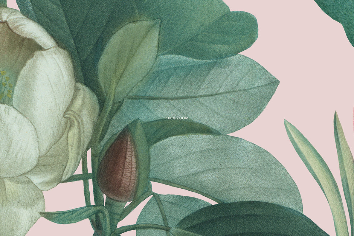 Elegancy   Floral Pattern and Elements 7