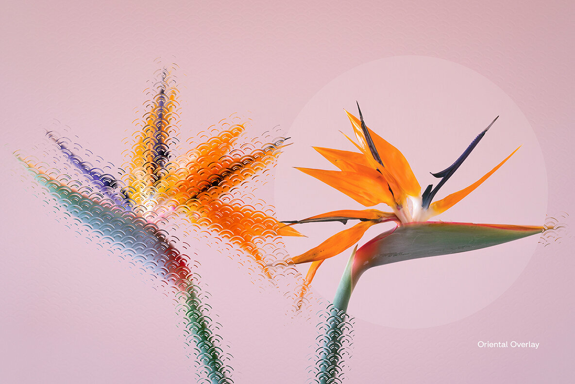 Clarity Vol  2 Glass Overlay Effect 4