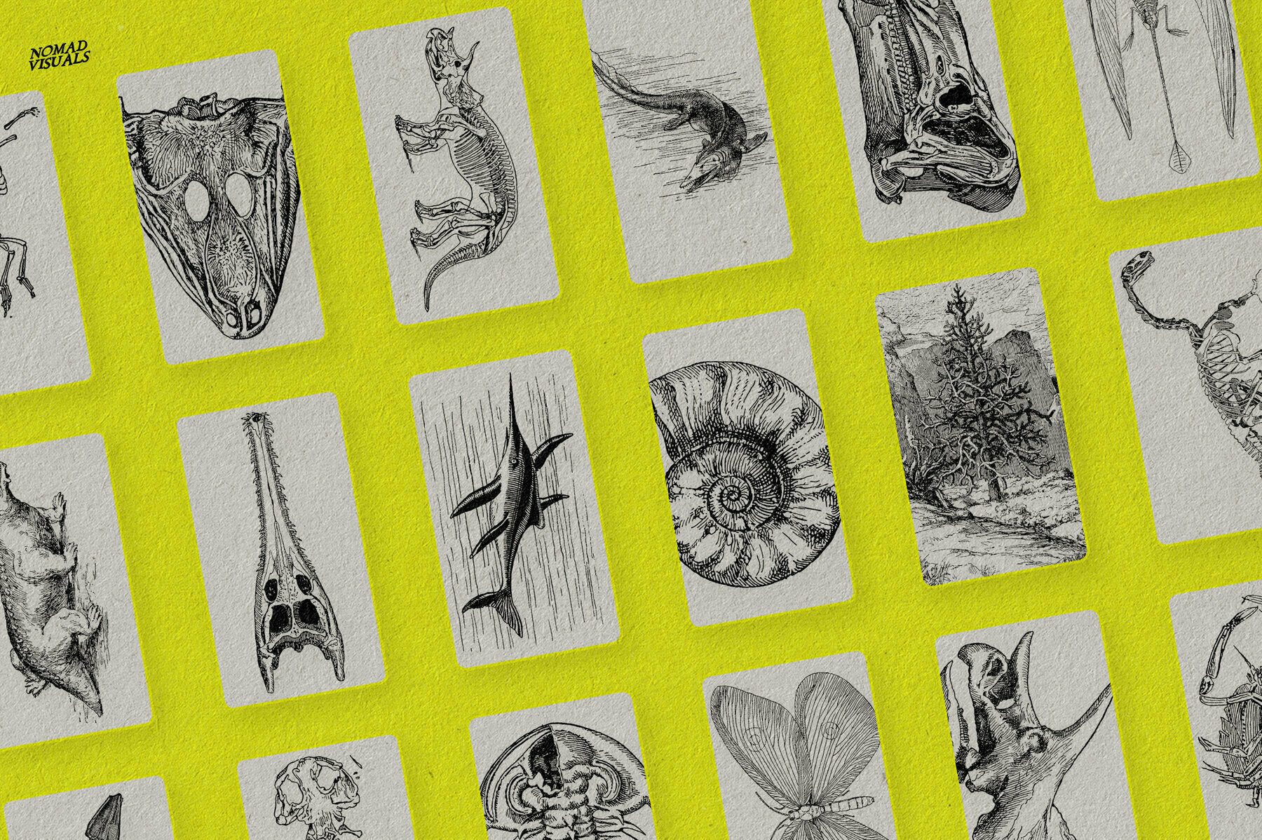 The Age of Dinosaurs 2