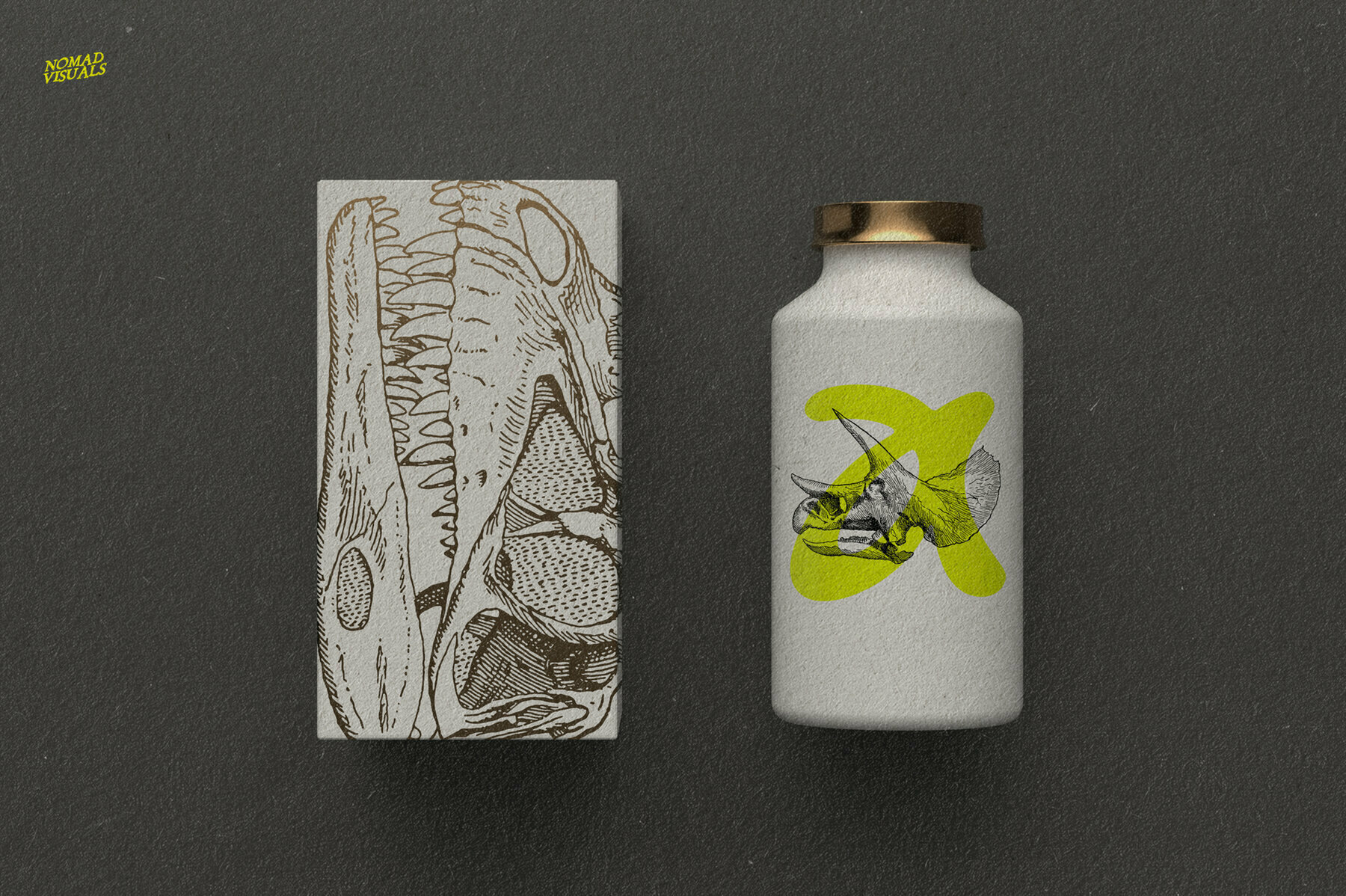 The Age of Dinosaurs 3