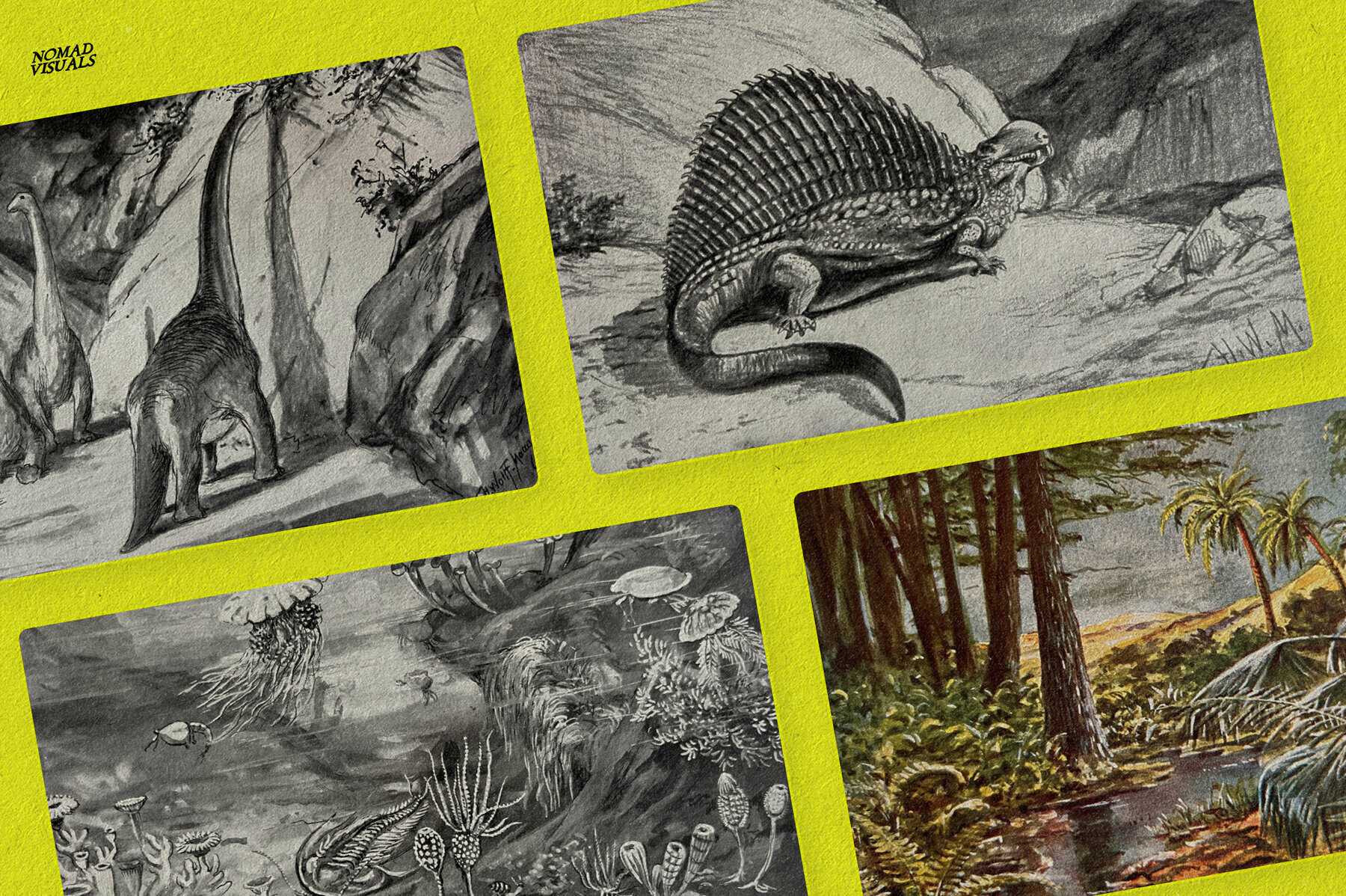 The Age of Dinosaurs 4