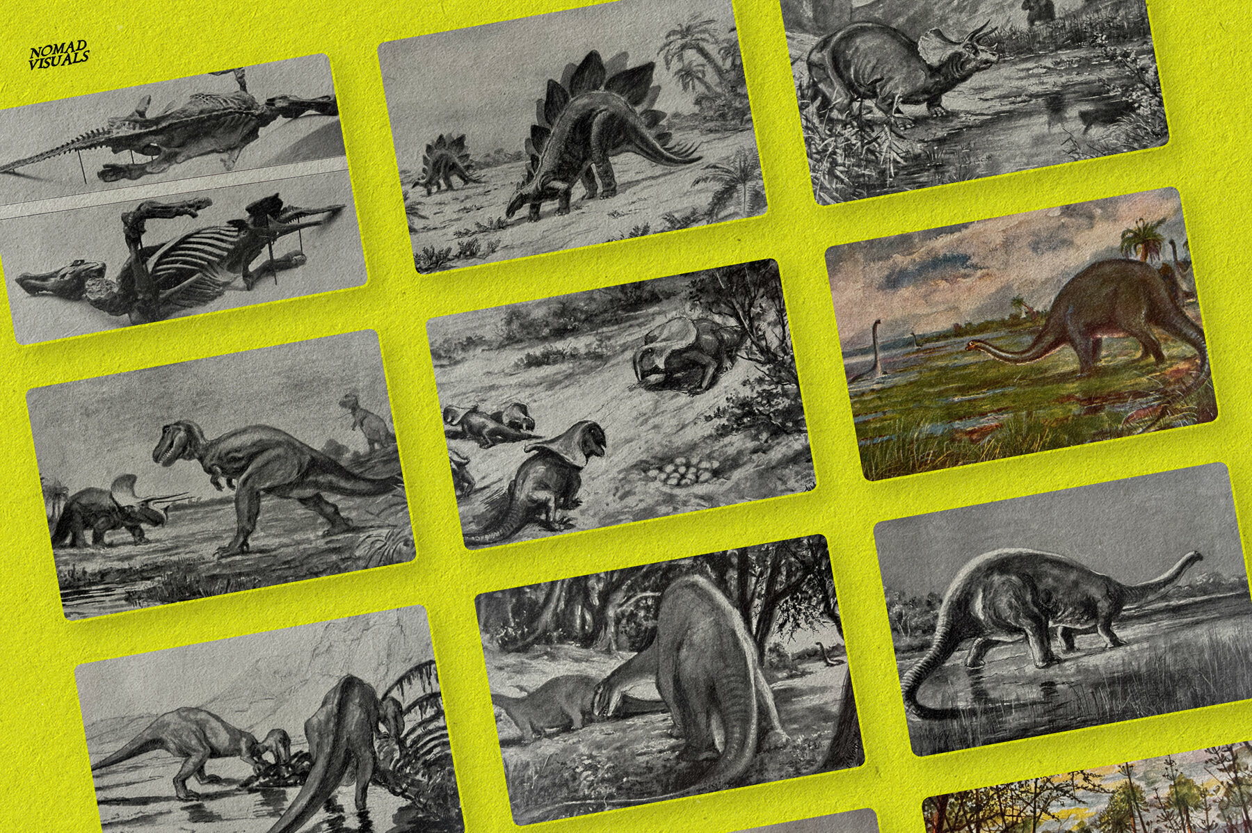 The Age of Dinosaurs 5