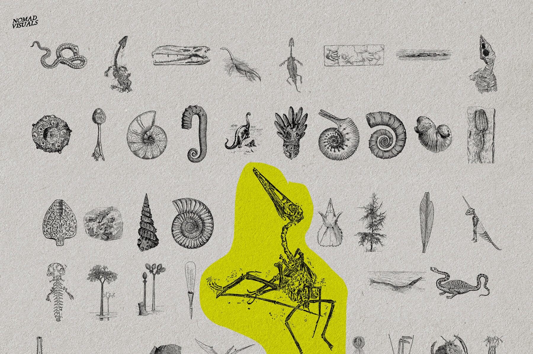 The Age of Dinosaurs 6