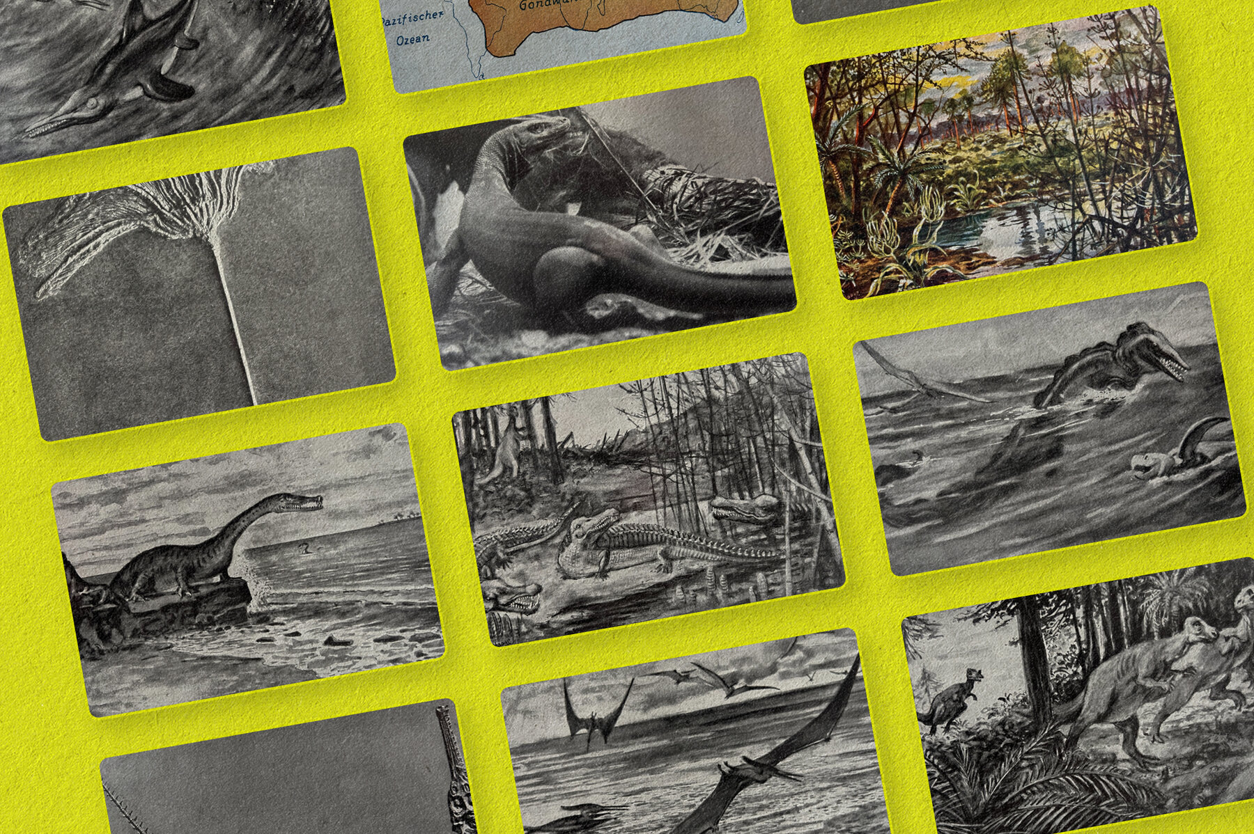 The Age of Dinosaurs 9