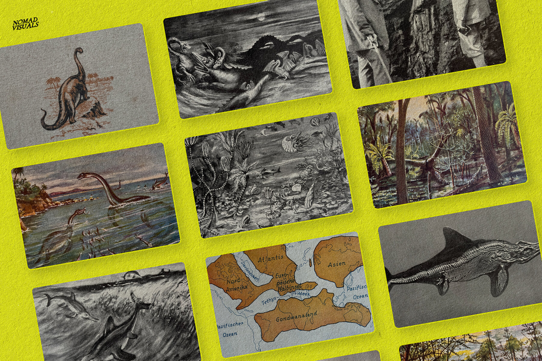 The Age of Dinosaurs 11