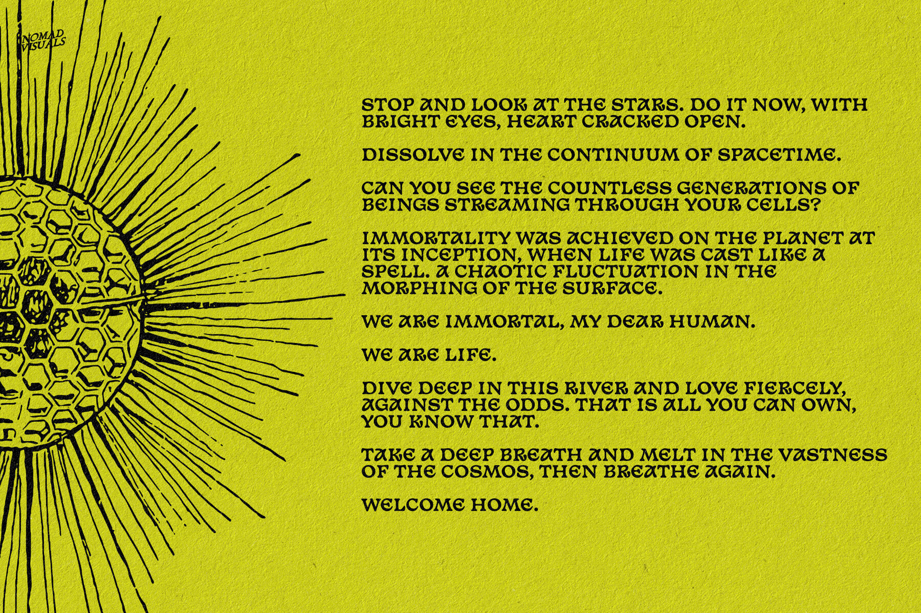 The Age of Dinosaurs 13