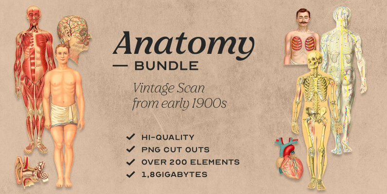 Anatomy Collage Elements