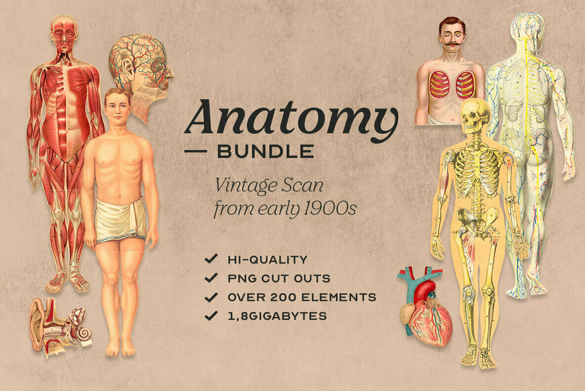 Anatomy Collage Elements 1