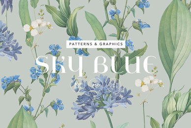Sky Blue Botanic Floral Pattern and Elements