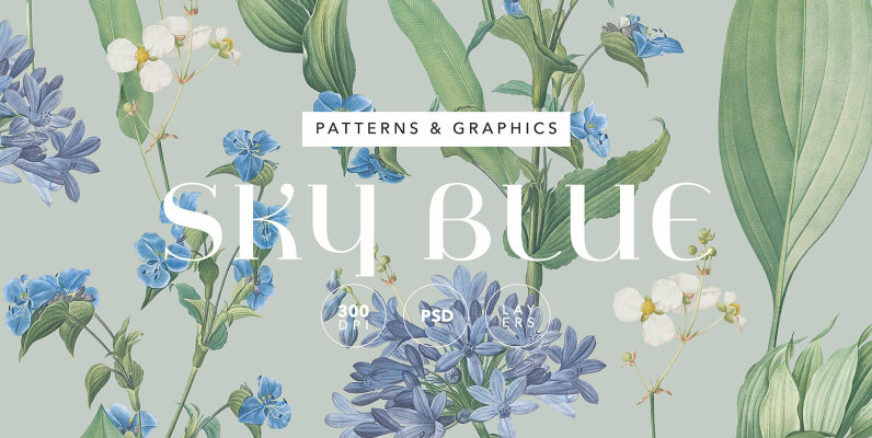 Sky Blue Botanic Floral Pattern and Elements