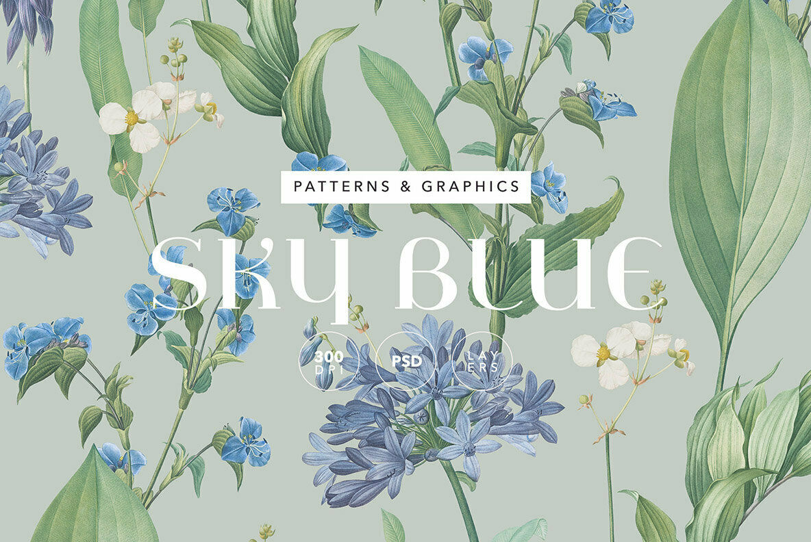 Sky Blue Botanic Floral Pattern and Elements 1