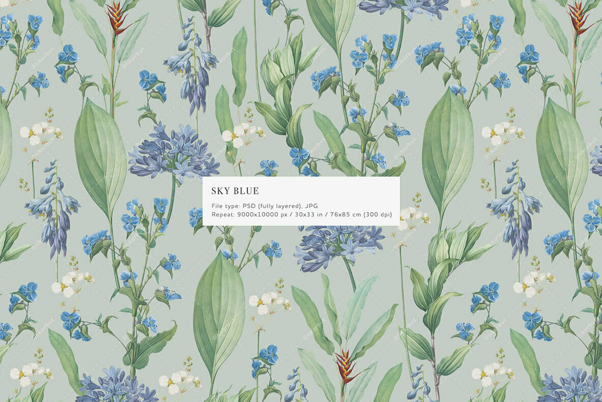 Sky Blue Botanic Floral Pattern and Elements 2
