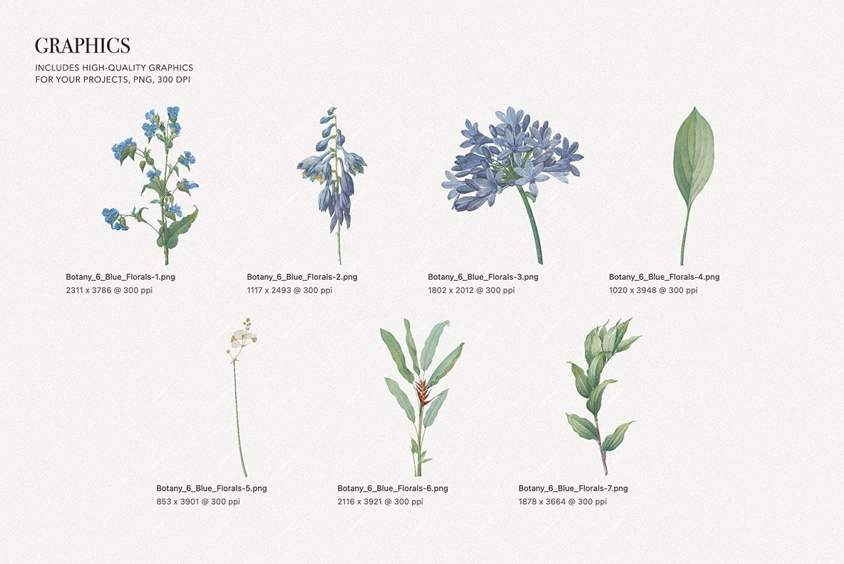 Sky Blue Botanic Floral Pattern and Elements 6