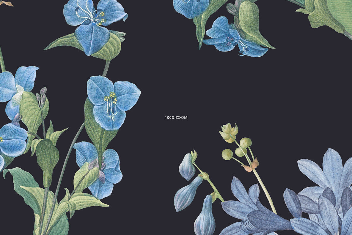 Sky Blue Botanic Floral Pattern and Elements 7