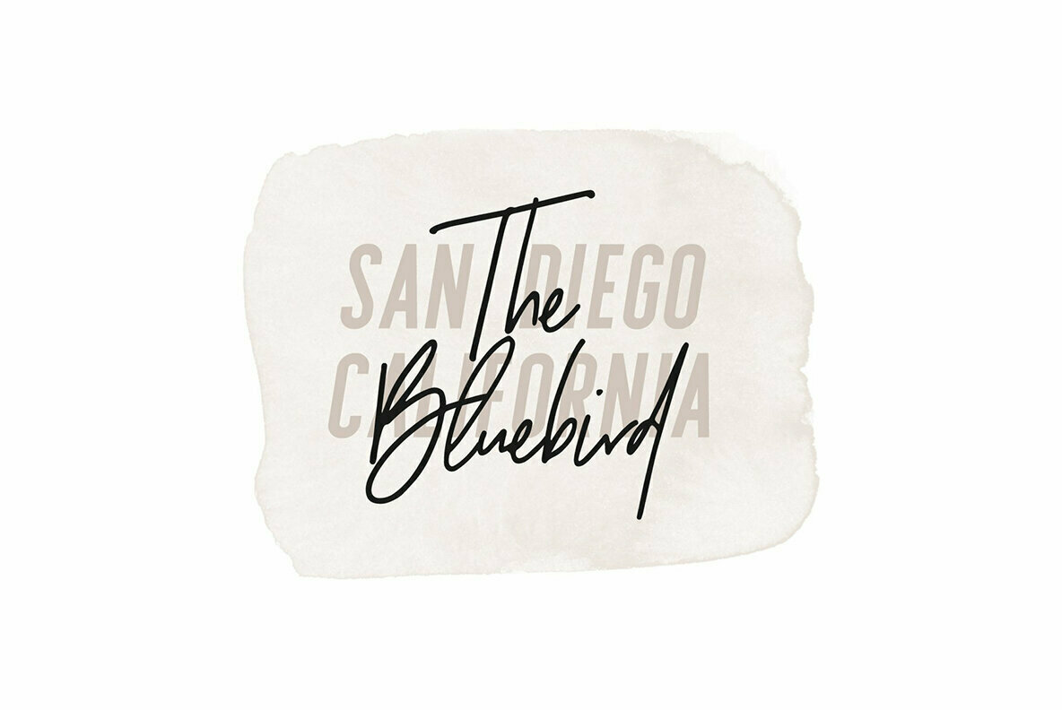 Aurora Watercolor Procreate Brushes 3