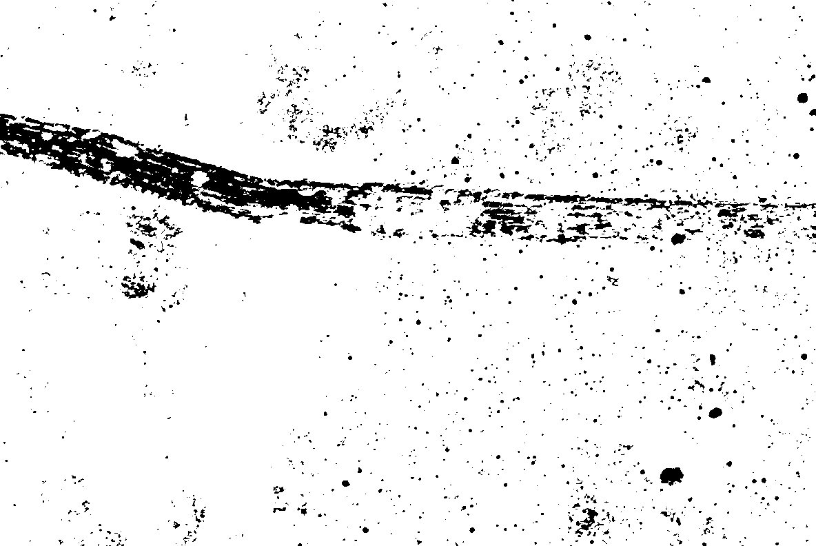 GSTC   Cement Textures 24