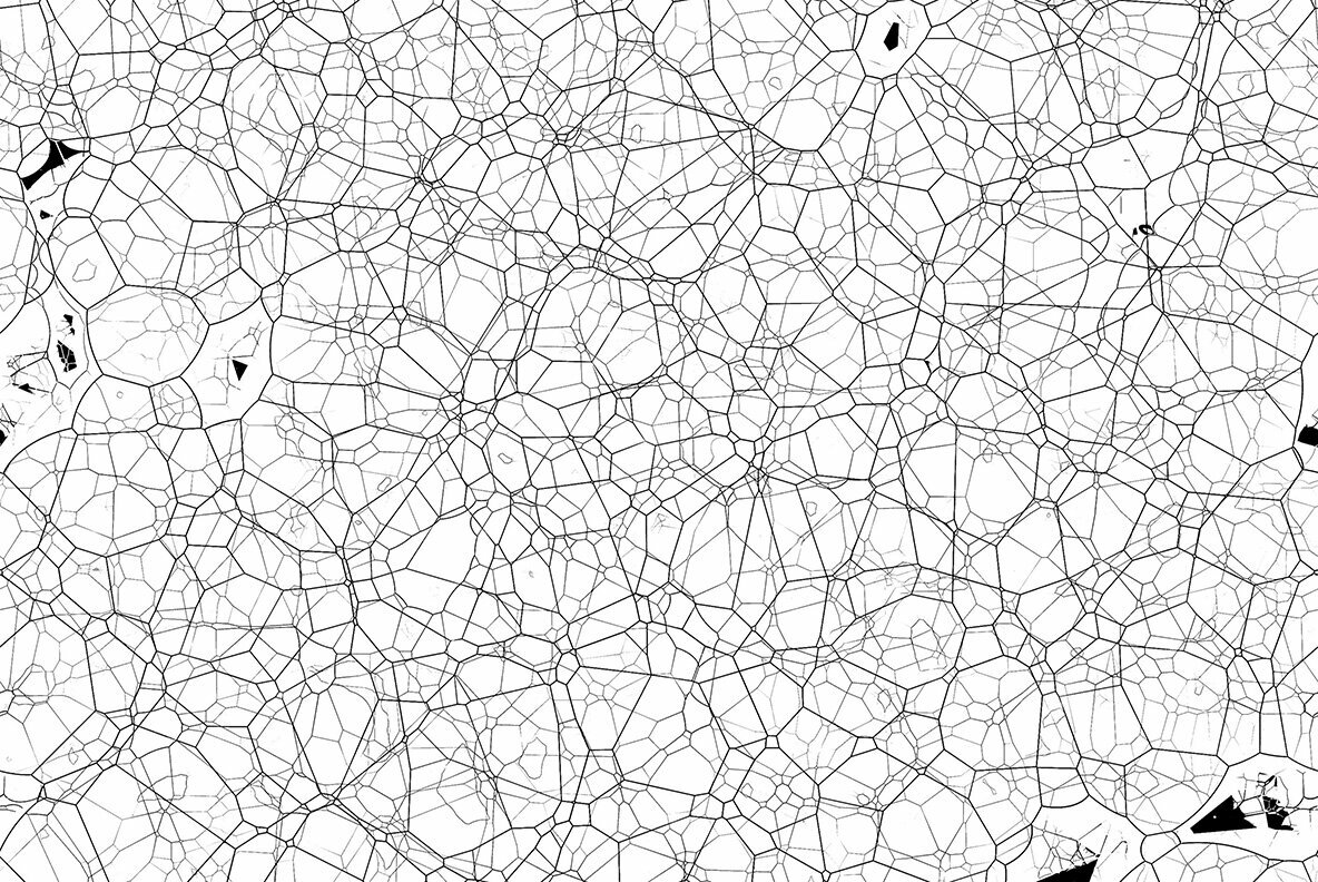 Organic Backgrounds 5