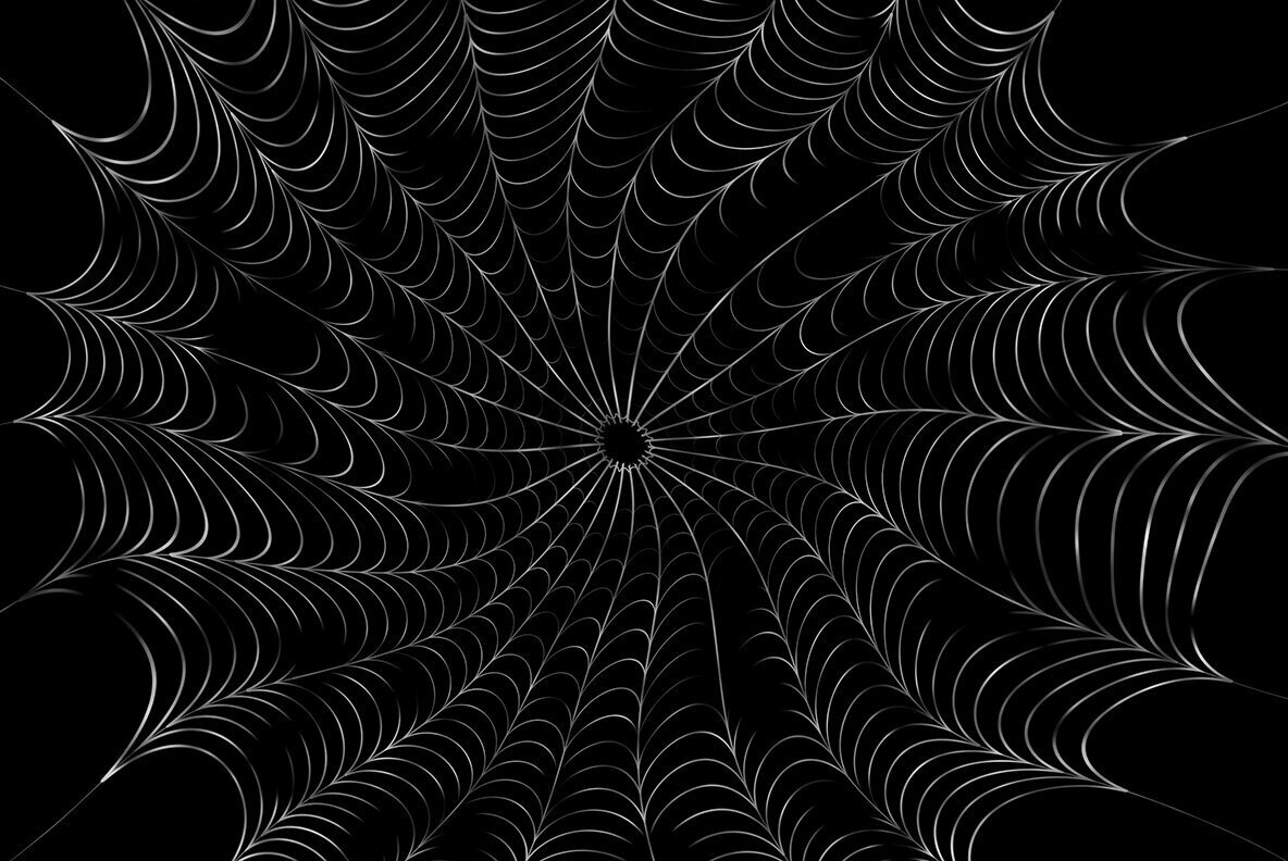 Spider Web Backgrounds 2