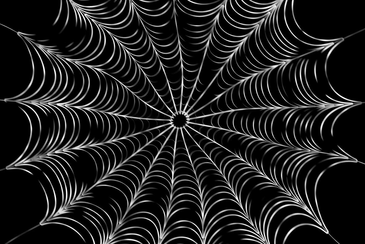 Spider Web Backgrounds 3