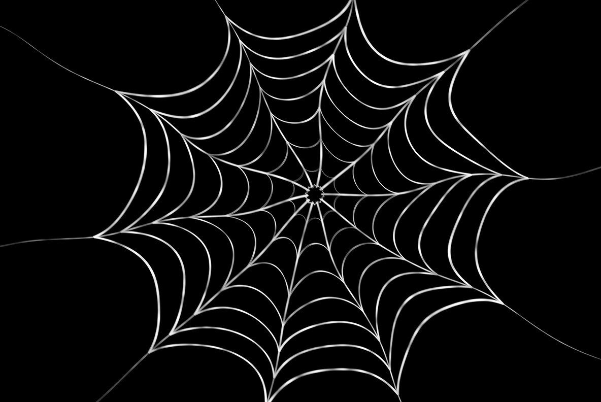 Spider Web Backgrounds 6