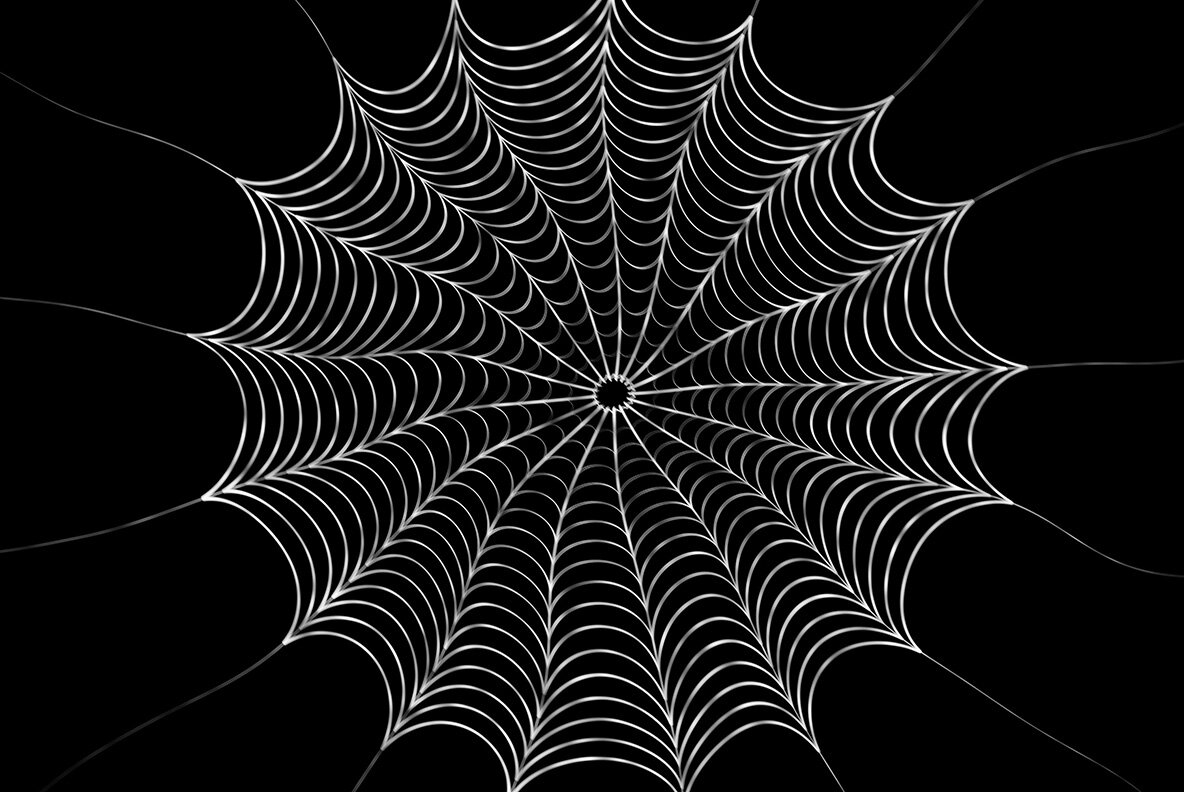 Spider Web Backgrounds 7