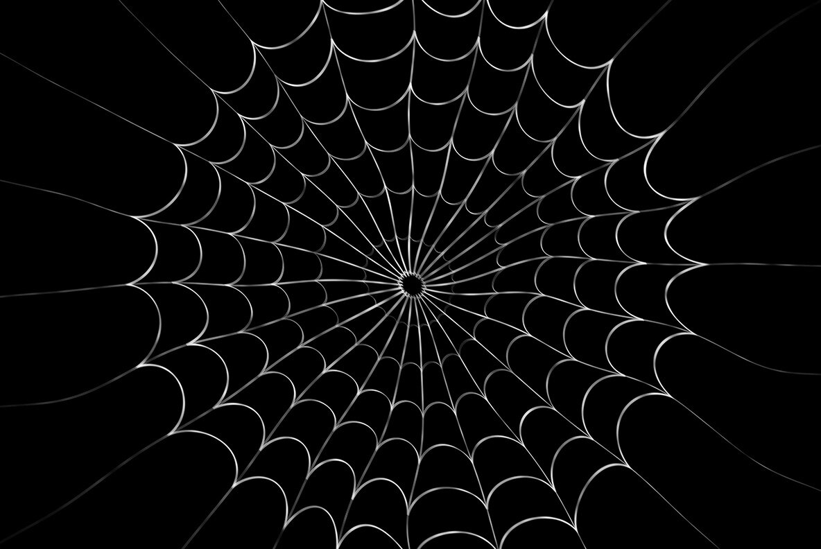 Spider Web Backgrounds 8