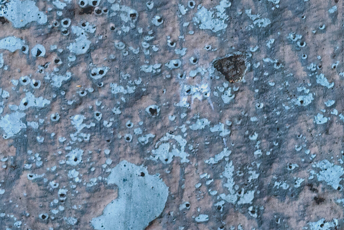 GSTC   Paint Textures 7