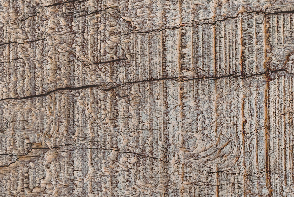 GSTC   Wood Grain Textures 5