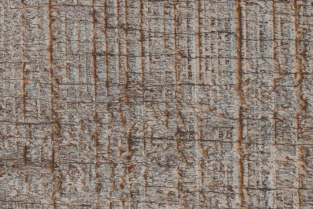 GSTC   Wood Grain Textures 9