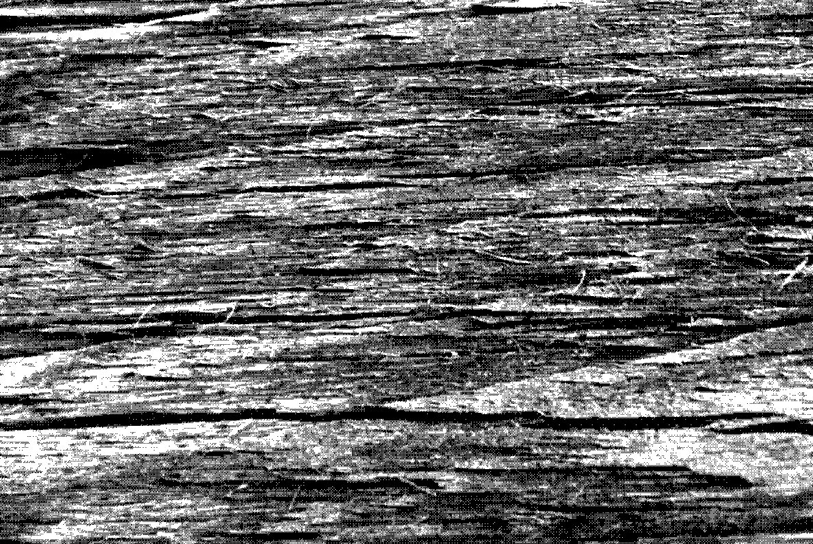 GSTC   Wood Grain Textures 11
