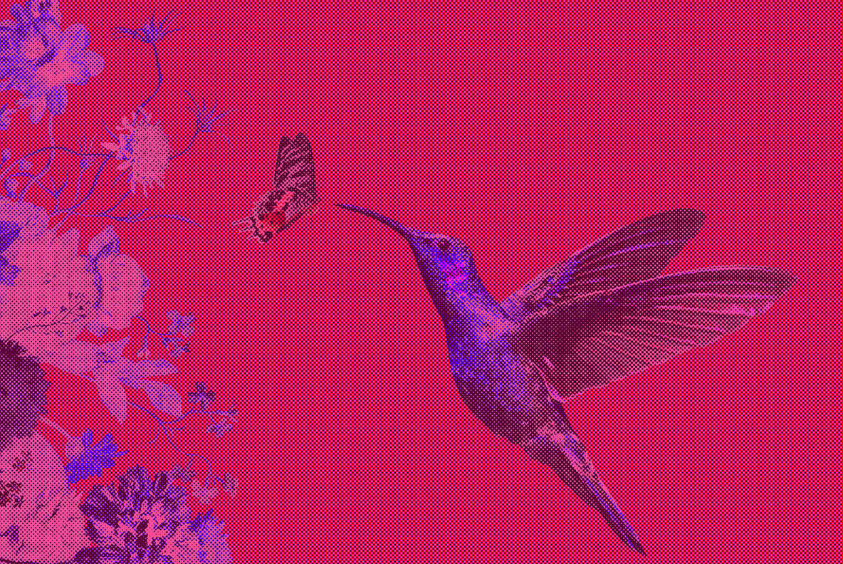 Halftone Factory   6 Effects 5