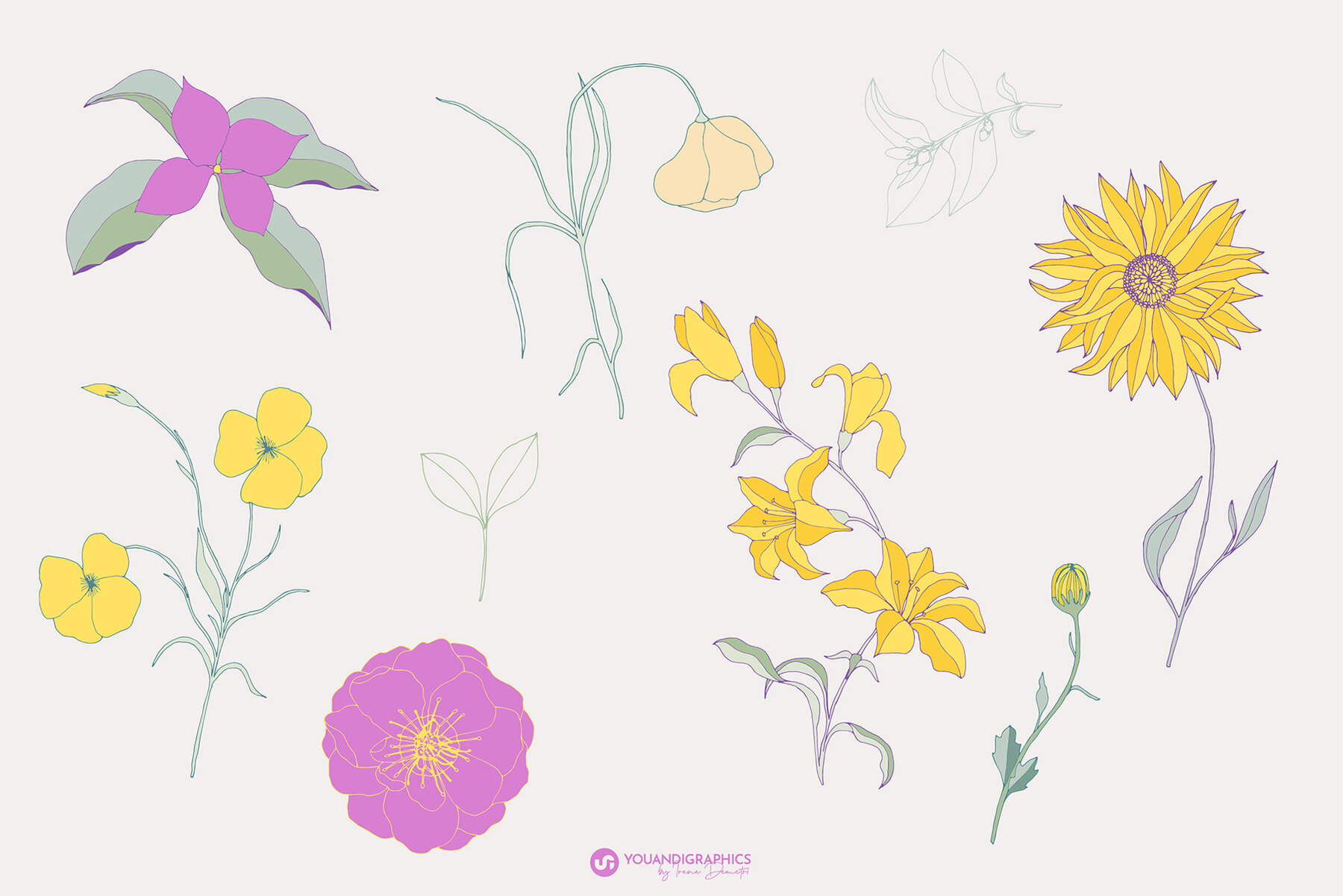 Flower Garden Seamless Patterns 9