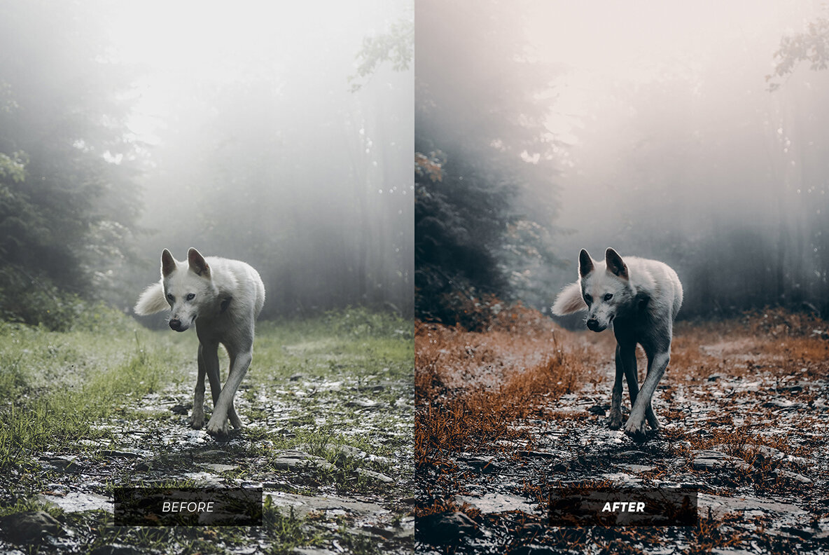 Super Cinematic Lightroom Presets 4