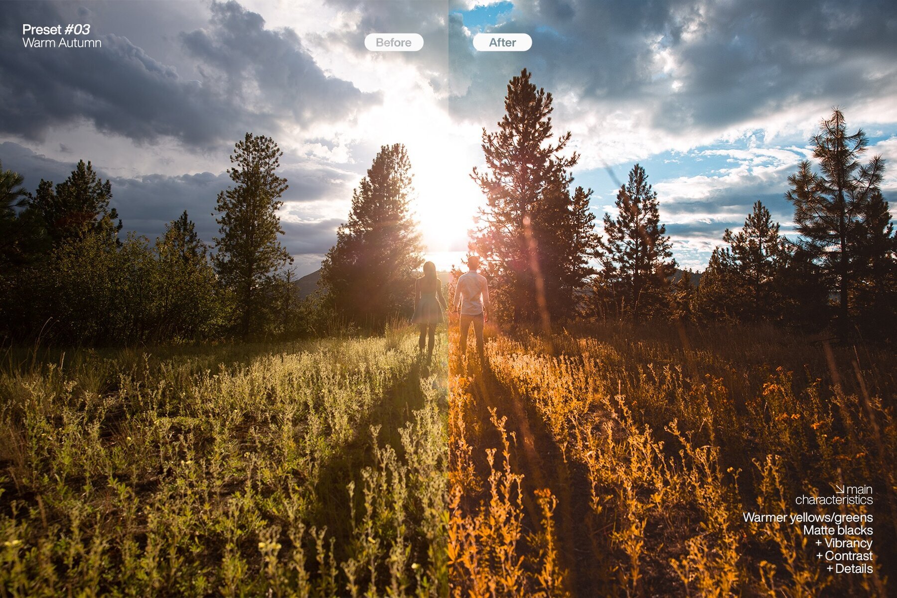 Lightroom Presets   Pack One 4