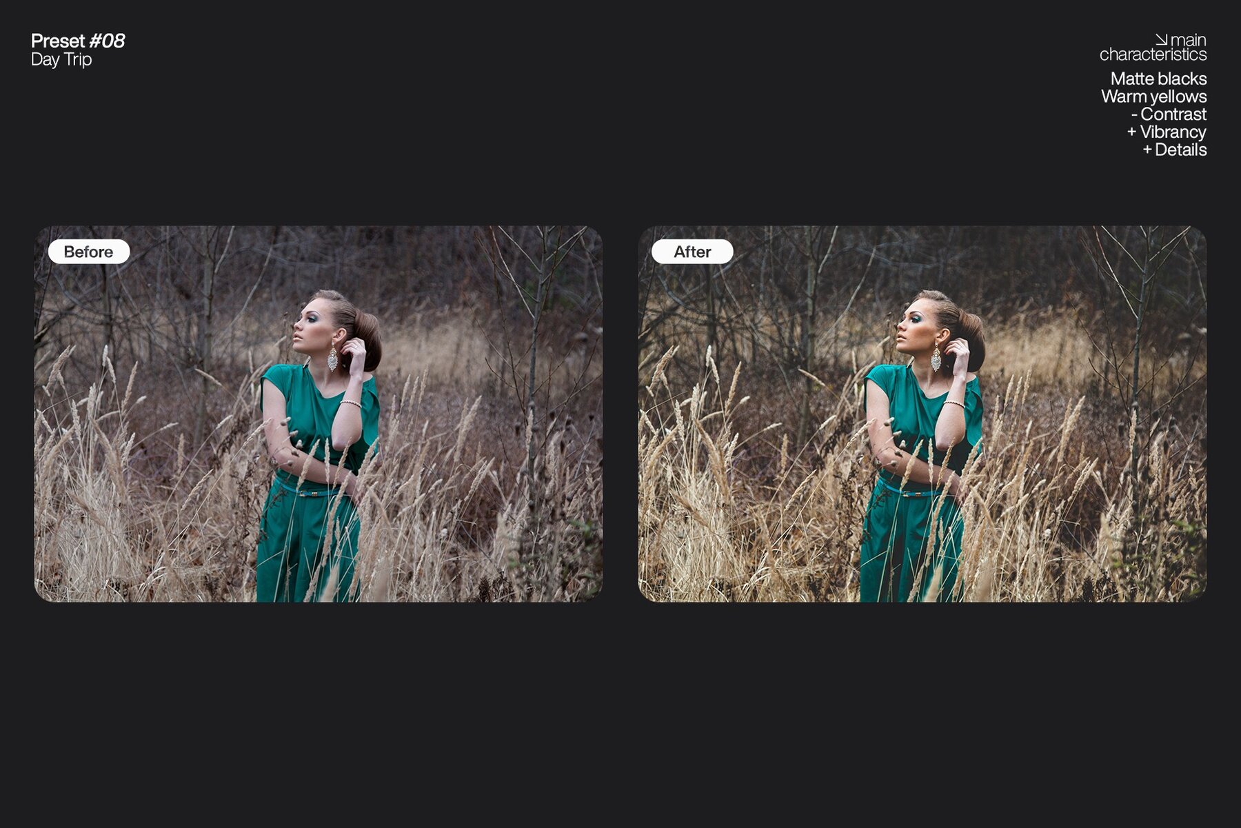 Lightroom Presets   Pack One 9