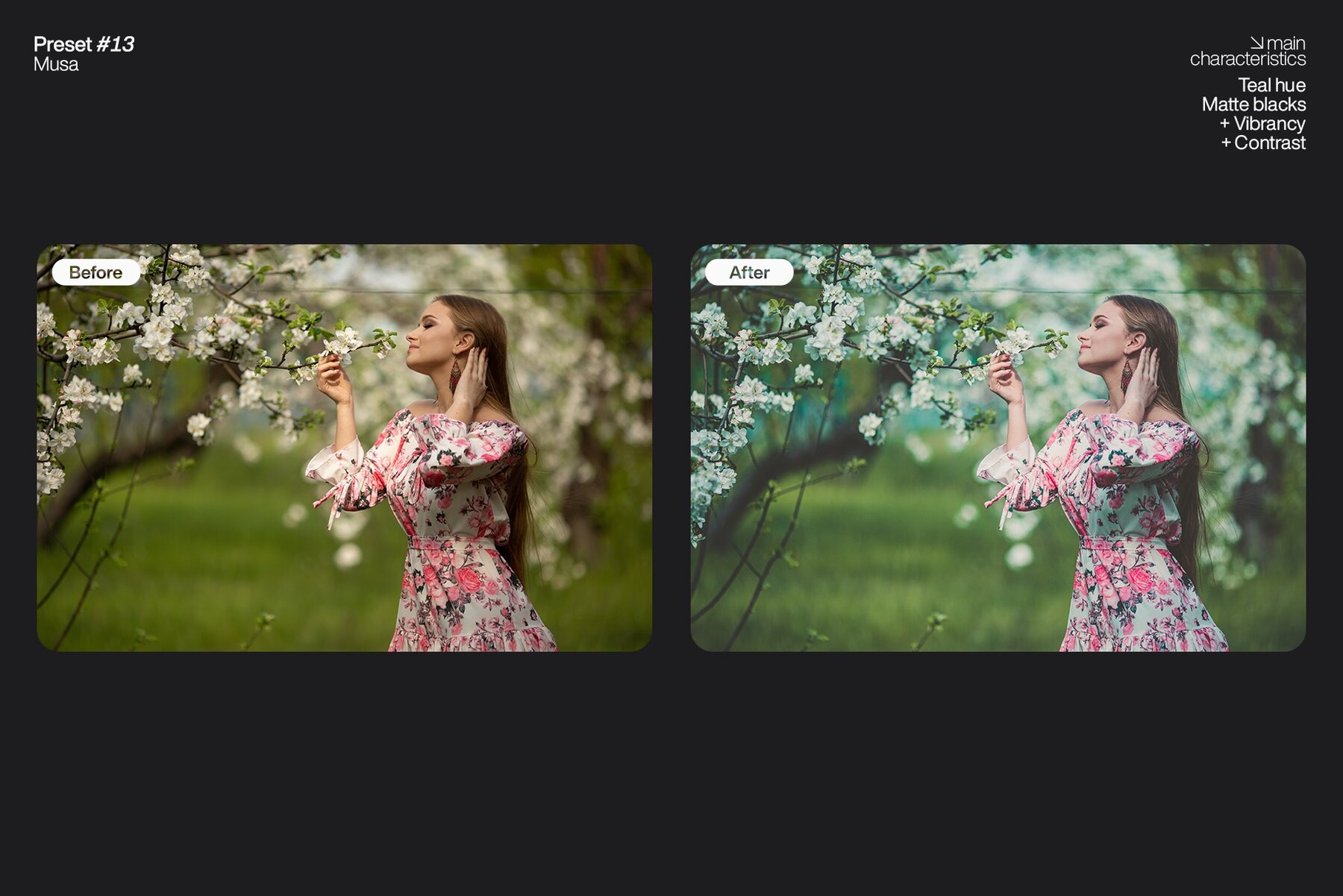 Lightroom Presets   Pack One 14