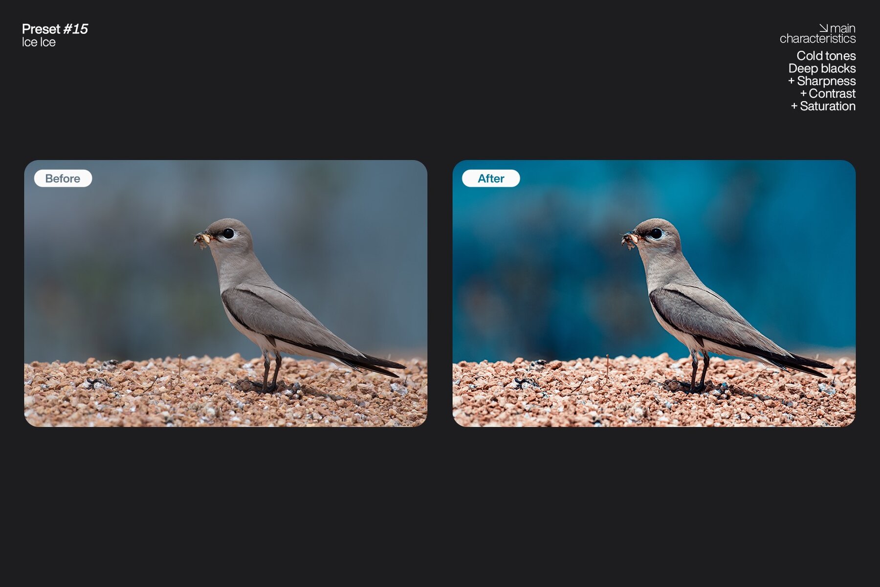 Lightroom Presets   Pack One 16