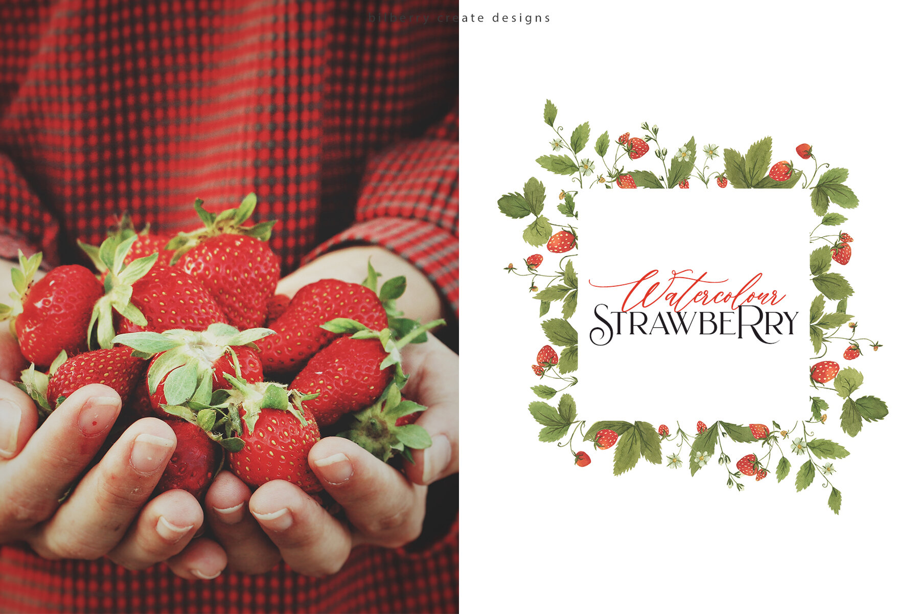 Watercolour Strawberry Art Set 14