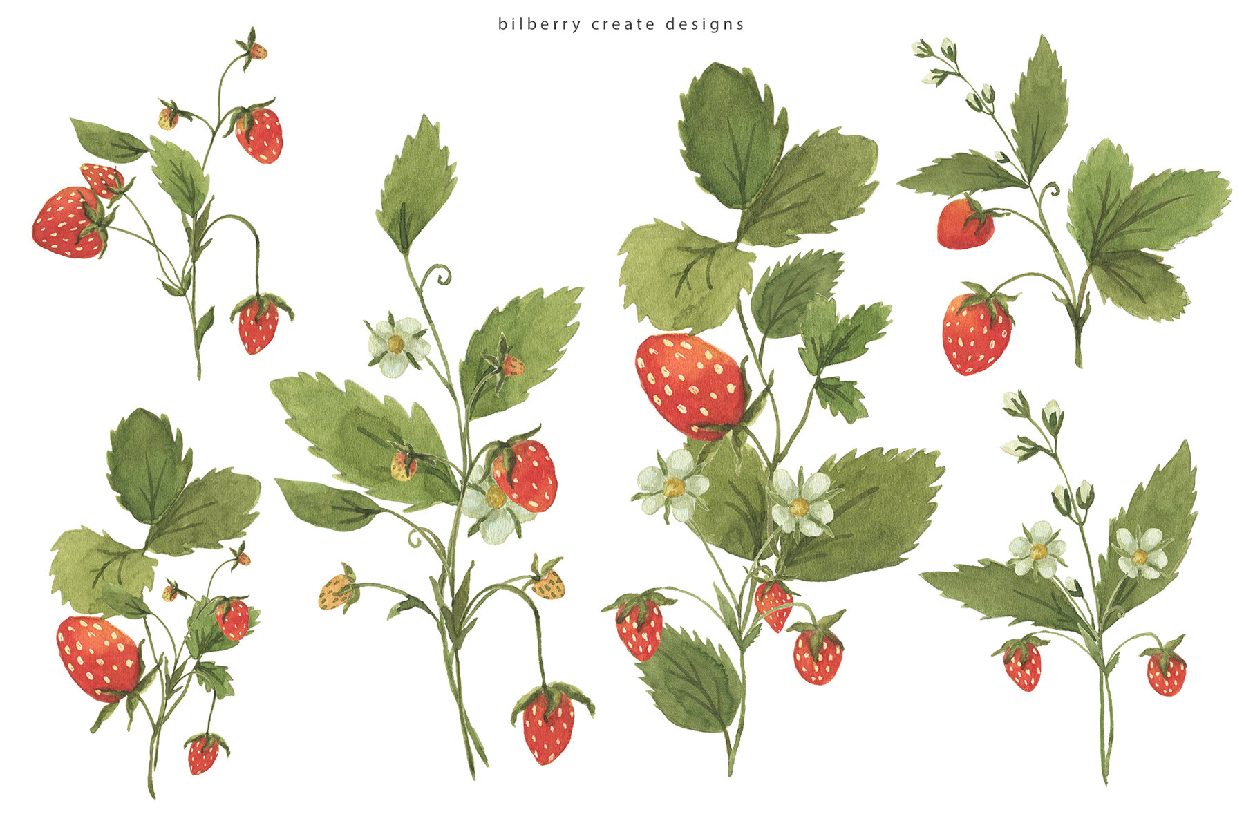 Watercolour Strawberry Art Set 16