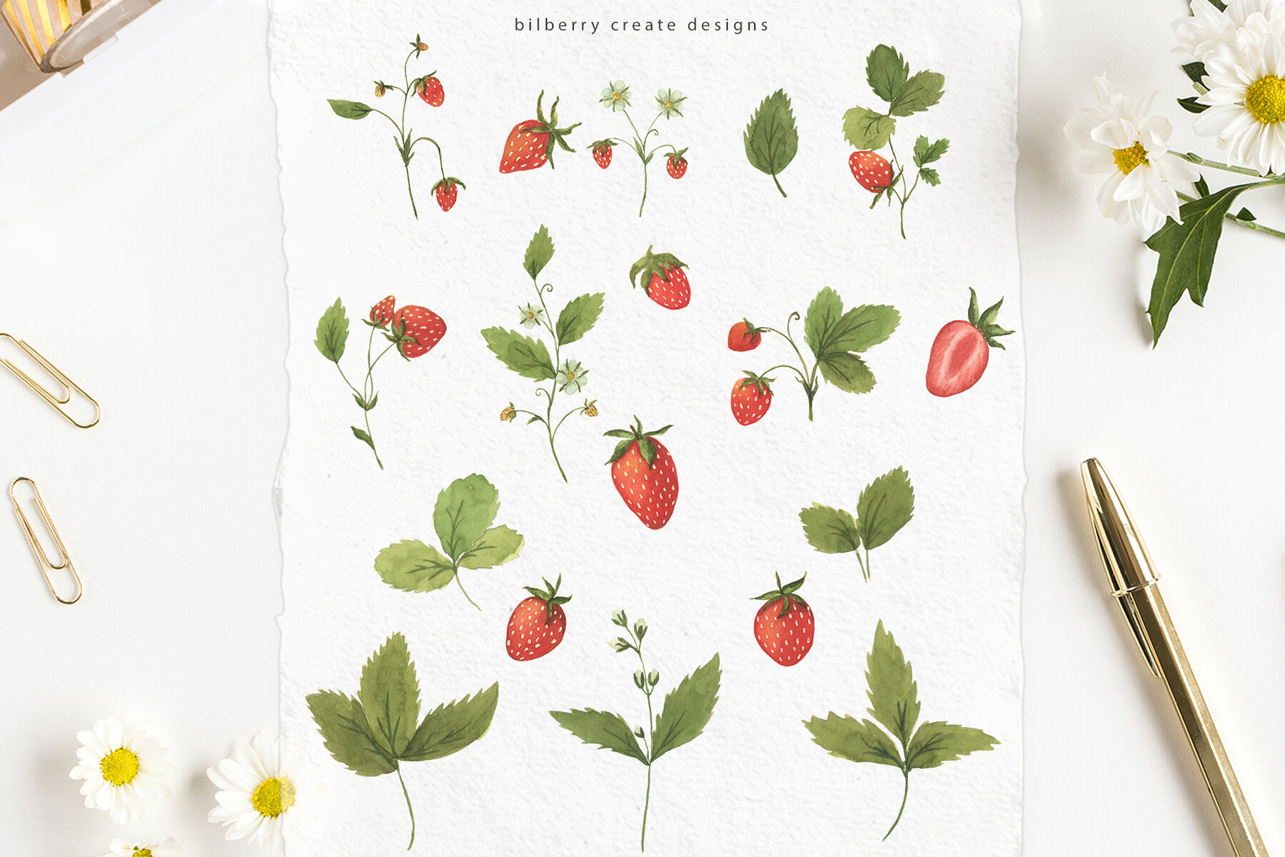 Watercolour Strawberry Art Set 19