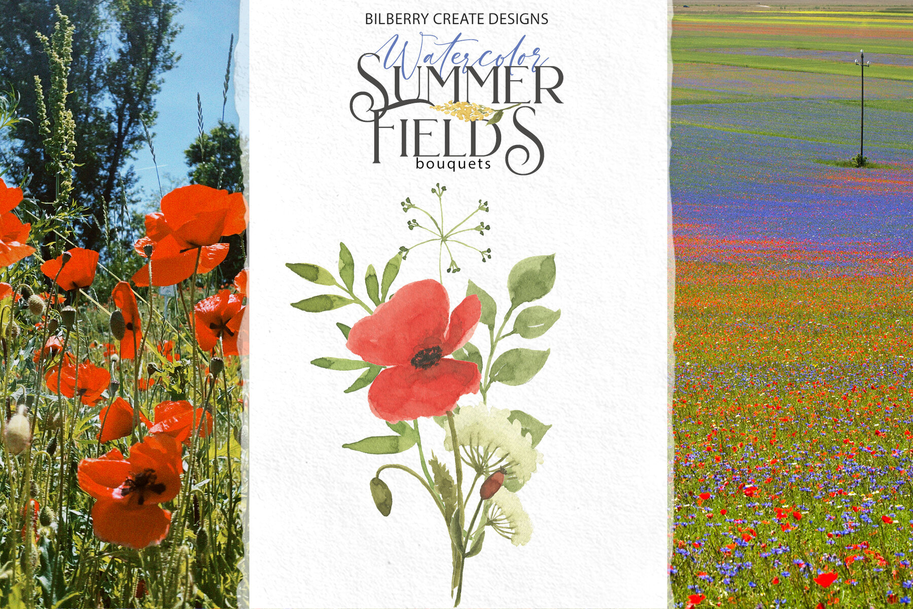 Watercolour Summer Flowers Fields 4
