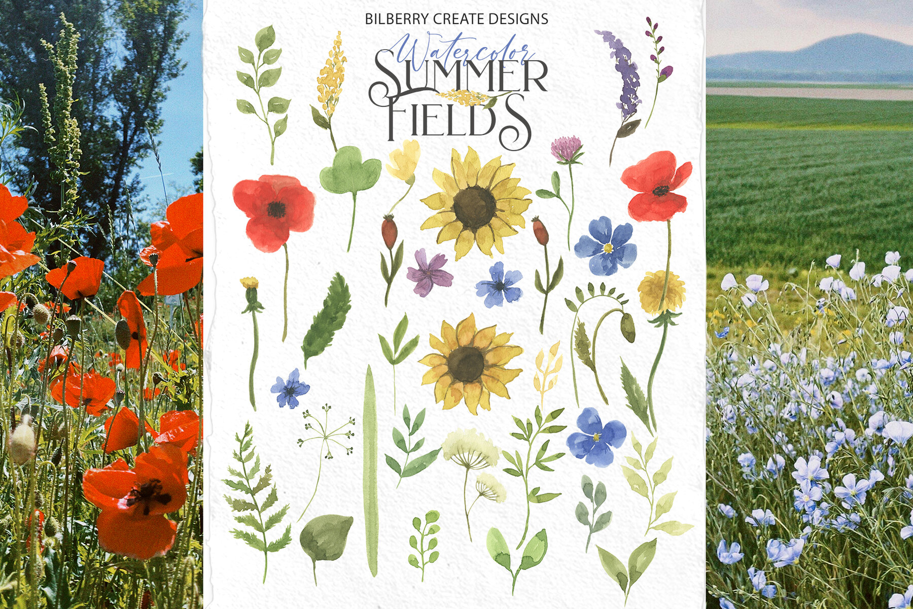 Watercolour Summer Flowers Fields 12
