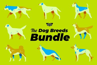 The Dog Breeds Bundle