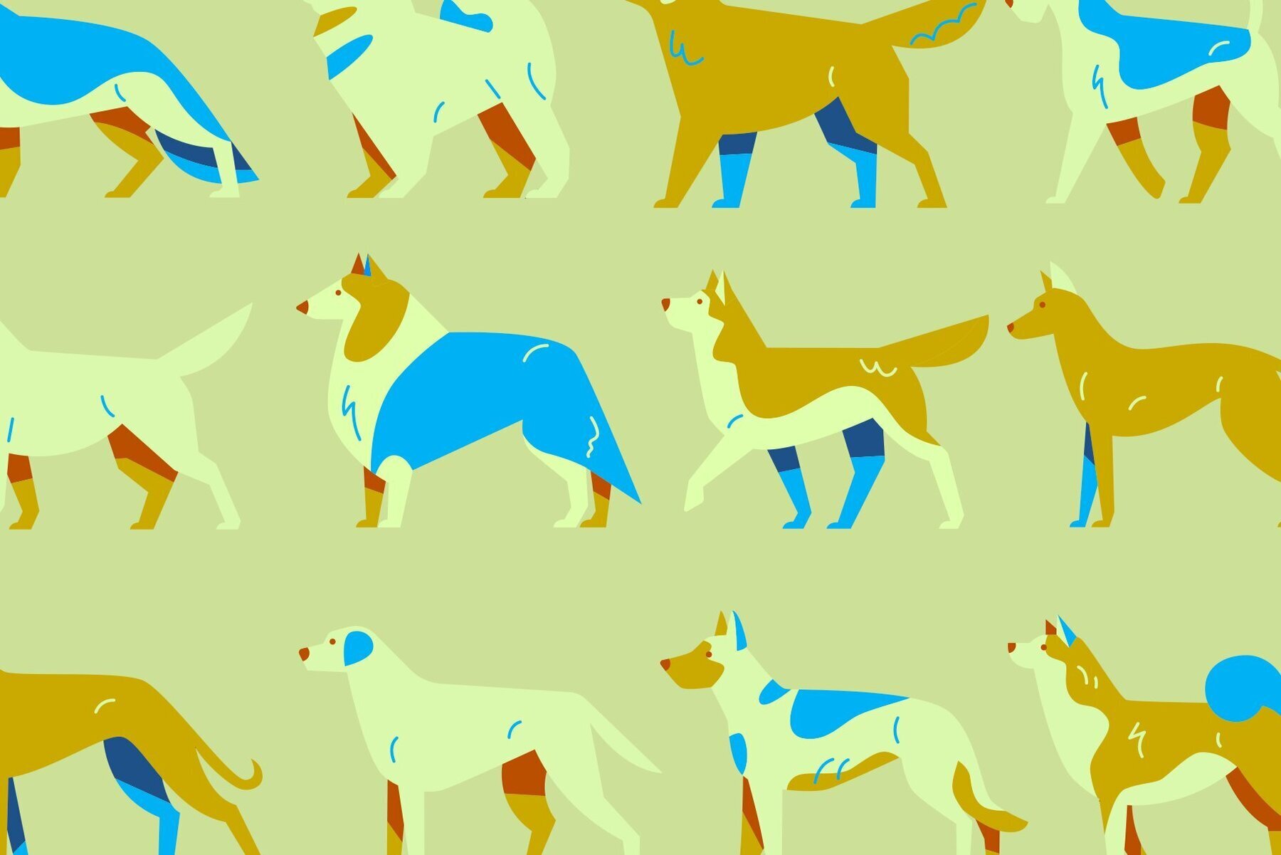 The Dog Breeds Bundle 2