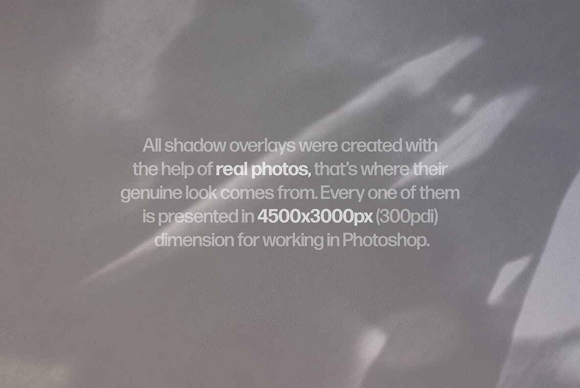 Shadow Play Photo Overlays Vol 4 7