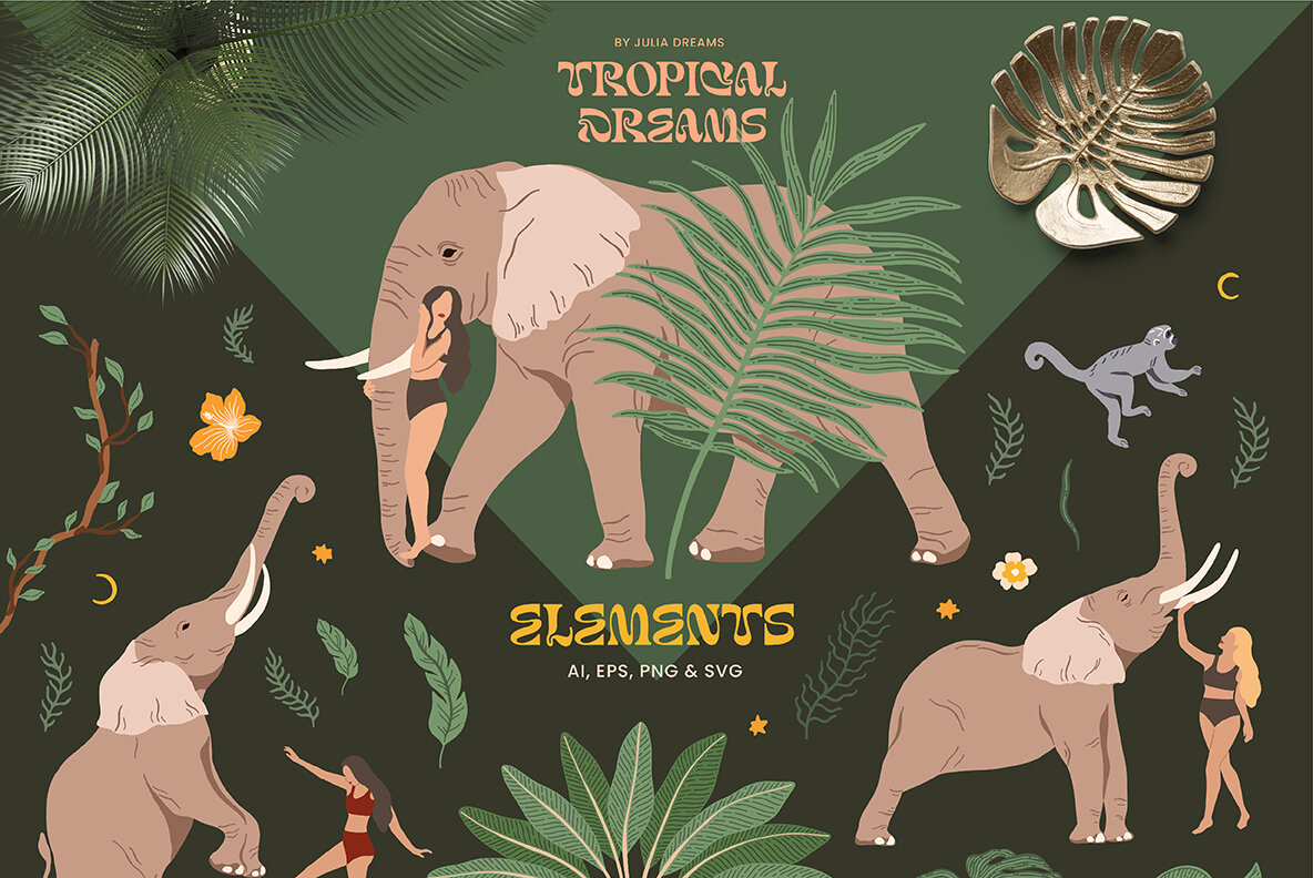 Tropical Dreams A Library of Nature 12