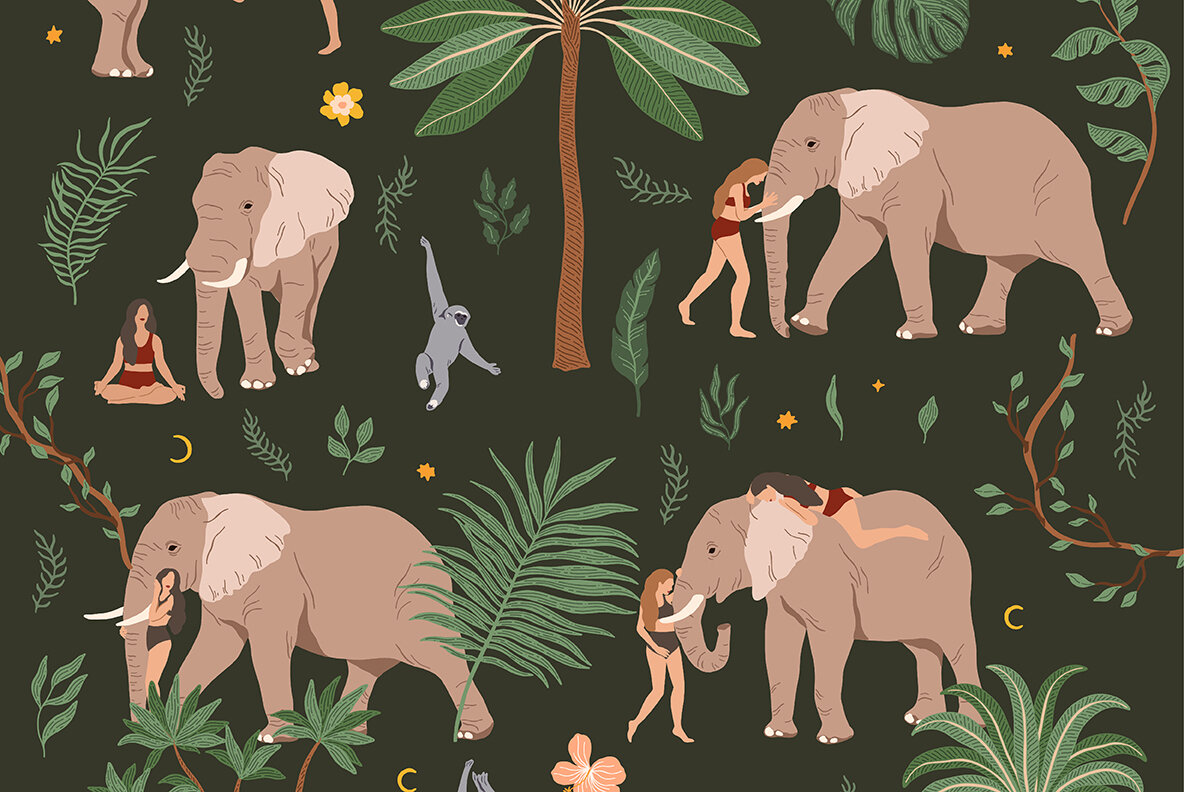 Tropical Dreams A Library of Nature 13