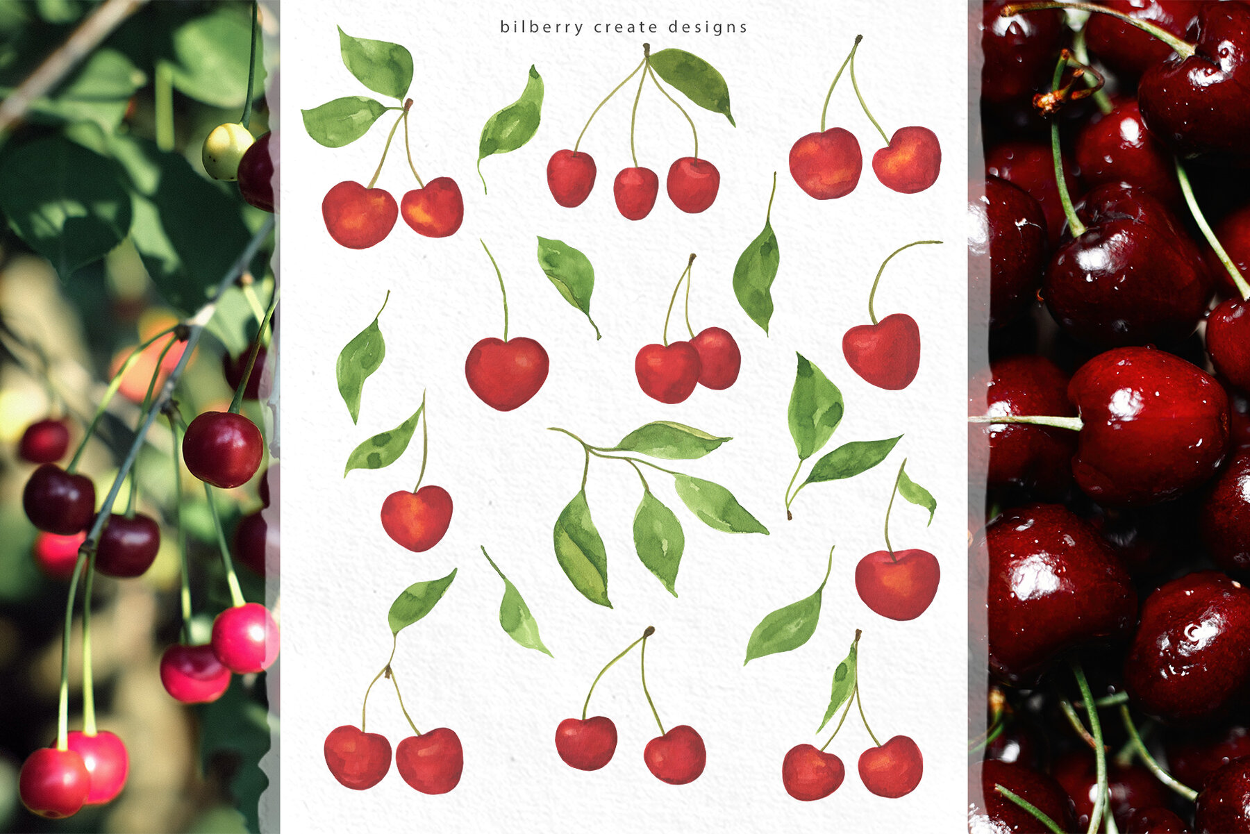 Watercolour Cherry Art Set 18