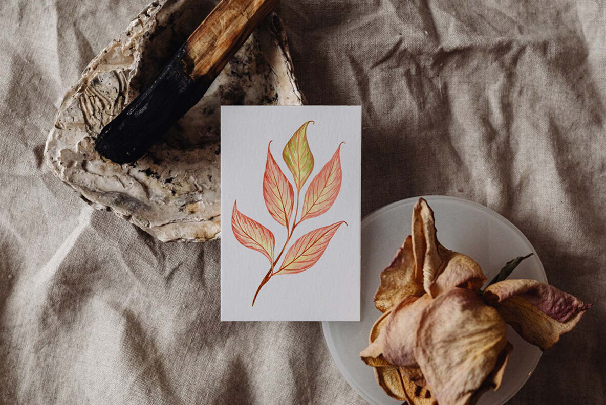 Autumn Garden Watercolor Collection 2